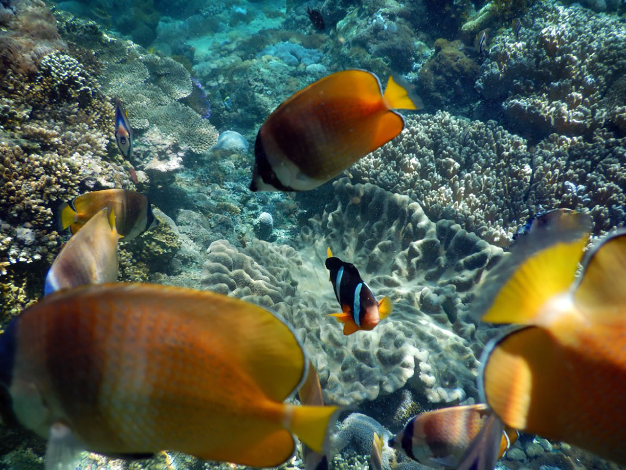 Nusa Lembongan