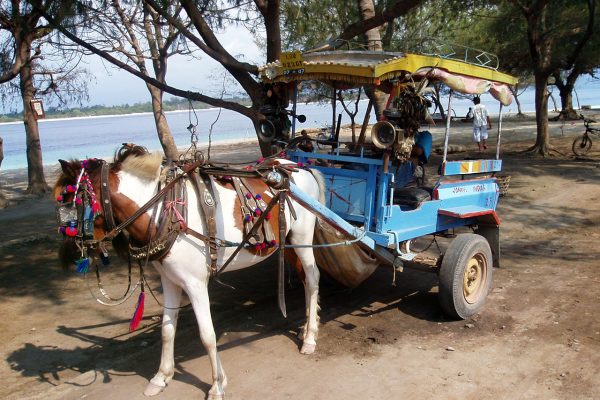 Explorez Lombok et les îles Gili avec Bali Profond: circuits sur mesure et guides francophones