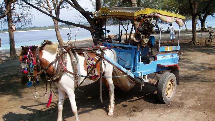 Explorez Lombok et les îles Gili avec Bali Profond: circuits sur mesure et guides francophones
