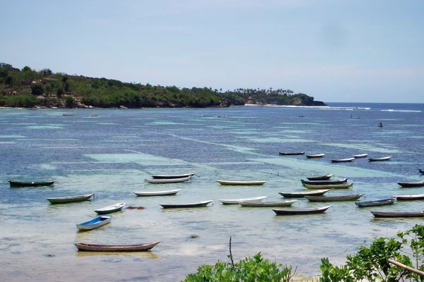 Vue d'une baie à Nusa Lembongan (Bali) avec de nombreuses petites embarcations en bois flottant au-dessus des parcelles d'algoculture dans les eaux turquoise peu profondes, avec une côte verdoyante en arrière-plan.