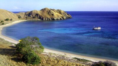 Vue panoramique d'une baie immaculée, probablement Pink Beach, dans le parc national de Komodo, avec des collines sèches et dorées, une eau bleu-turquoise cristalline et un bateau touristique ancré.