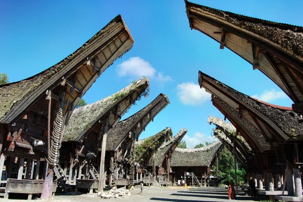 toraja