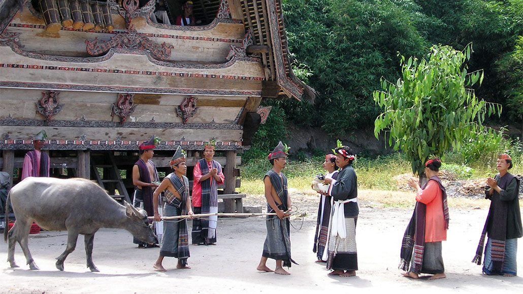 Toba Dance