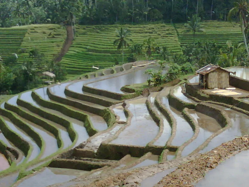 Bali Eternel 7 jours/6 nuits