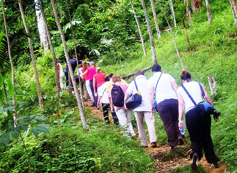 Explorez Sumatra avec Bali Profond: circuits sur mesure et guides francophones