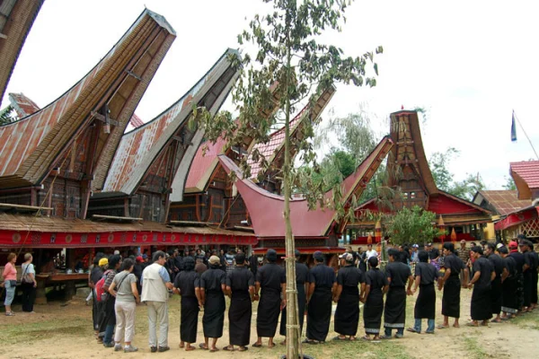 Jour 4: Decouverte Tana Toraja