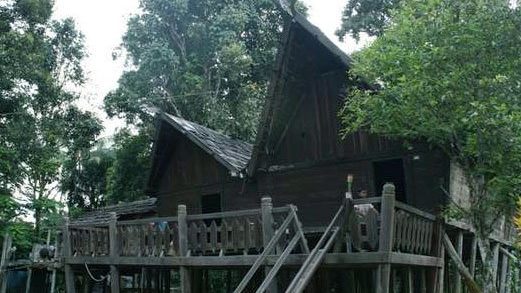 Explorez Kalimantan avec Bali Profond: circuits sur mesure et guides francophones