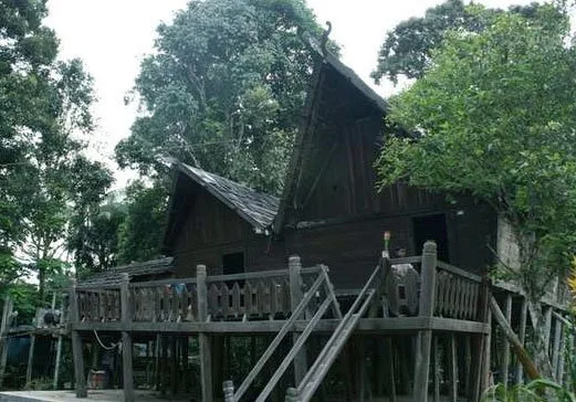 Explorez Kalimantan avec Bali Profond: circuits sur mesure et guides francophones