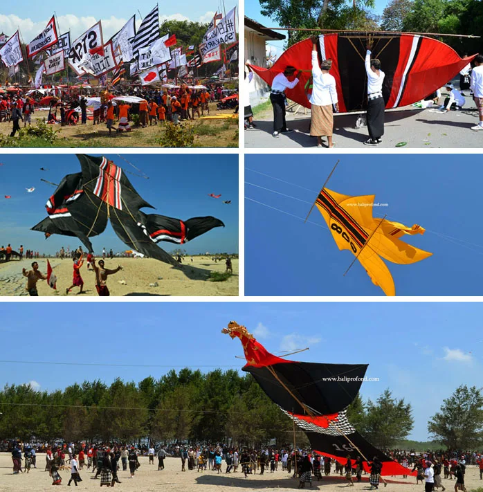 Festival au cerf volant