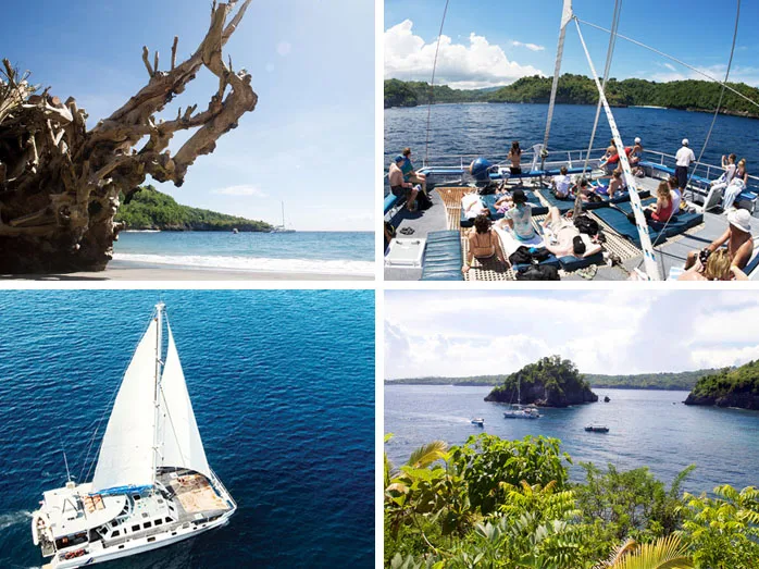 Journee catamaran