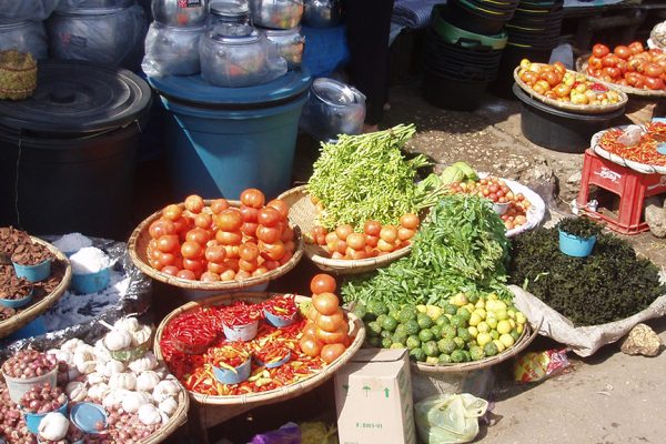Explorez Flores, Komodo et Rinca avec Bali Profond: circuits sur mesure et guides francophones