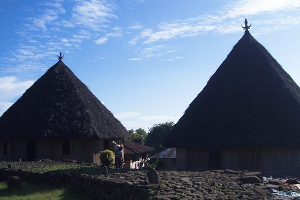 Explorez Flores, Komodo et Rinca avec Bali Profond: circuits sur mesure et guides francophones