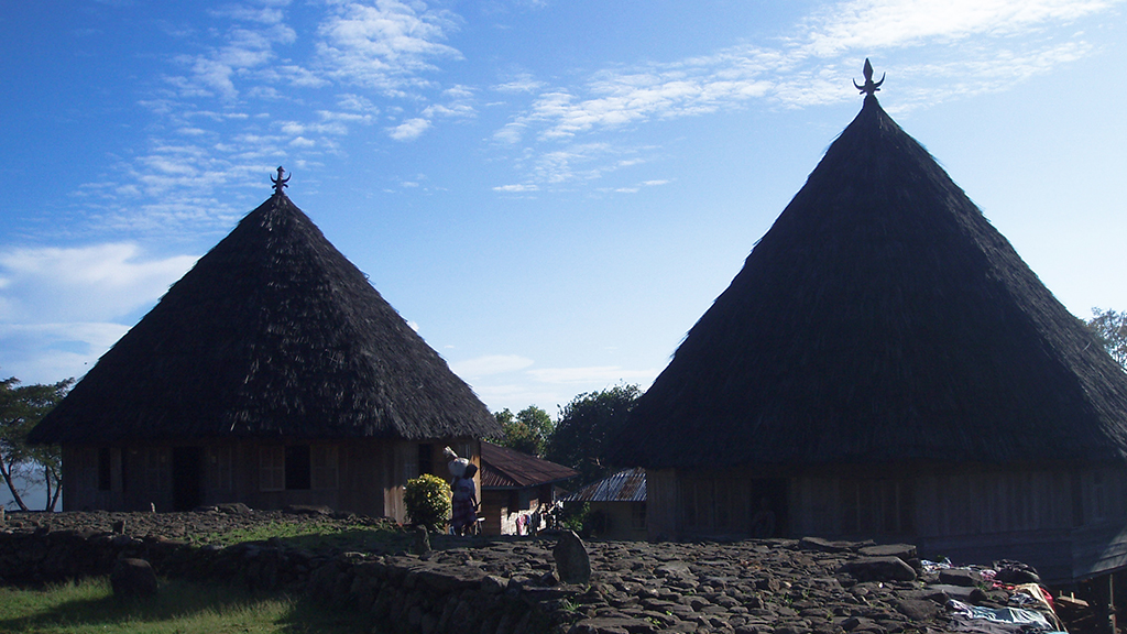 Explorez Flores, Komodo et Rinca avec Bali Profond: circuits sur mesure et guides francophones