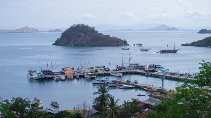 Explorez Flores, Komodo et Rinca avec Bali Profond: circuits sur mesure et guides francophones