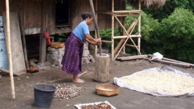 Explorez Flores, Komodo et Rinca avec Bali Profond: circuits sur mesure et guides francophones