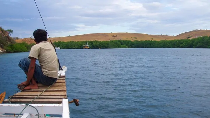 Explorez Flores, Komodo et Rinca avec Bali Profond: circuits sur mesure et guides francophones