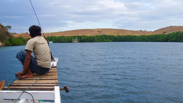 Explorez Flores, Komodo et Rinca avec Bali Profond: circuits sur mesure et guides francophones