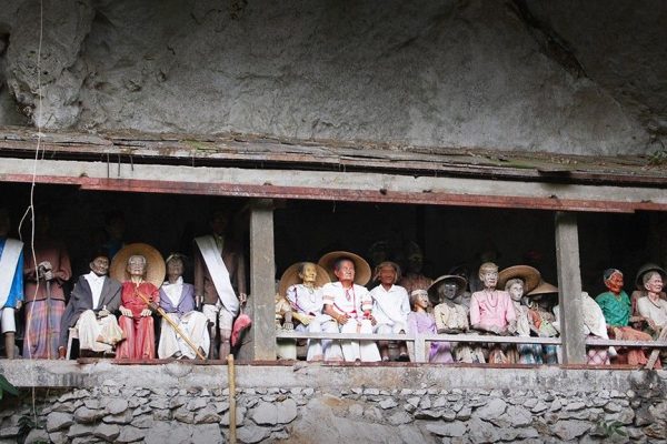 Explorez Sulawesi avec Bali Profond: circuits sur mesure et guides francophones