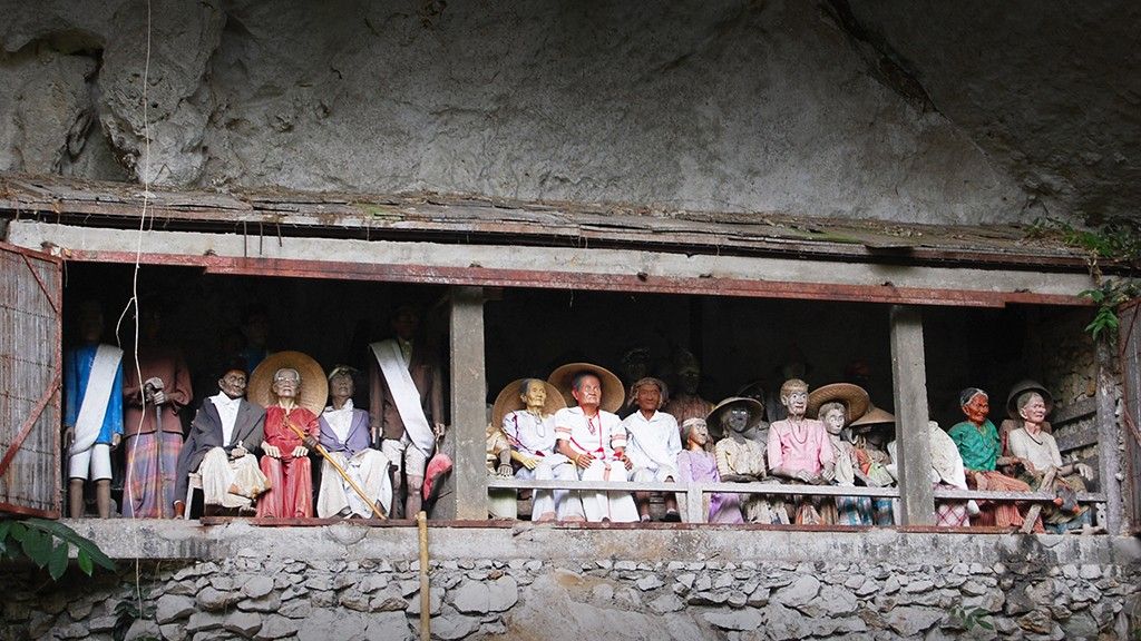 Explorez Sulawesi avec Bali Profond: circuits sur mesure et guides francophones