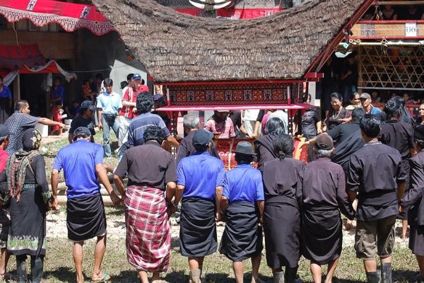 Explorez Sulawesi avec Bali Profond: circuits sur mesure et guides francophones