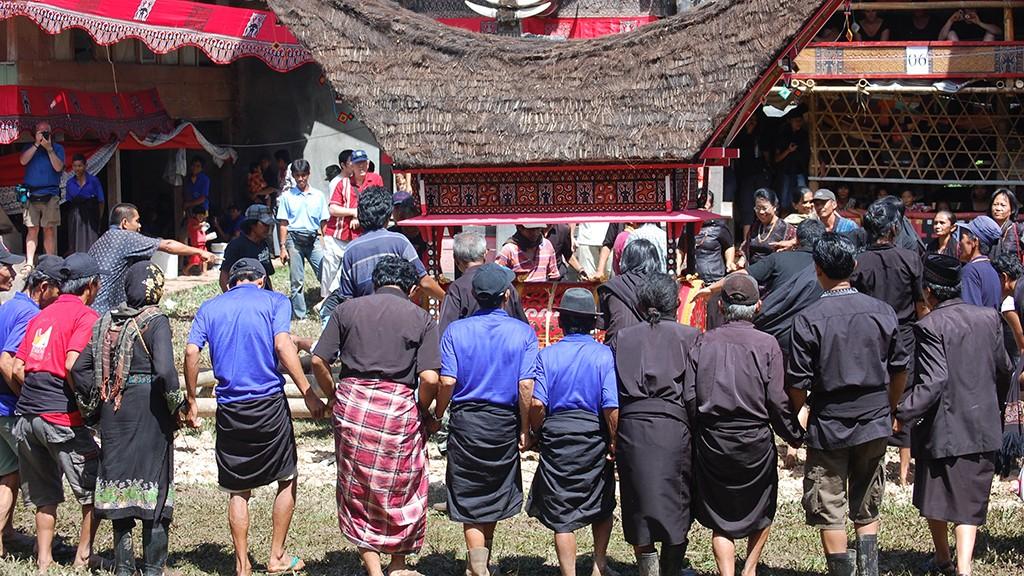 Explorez Sulawesi avec Bali Profond: circuits sur mesure et guides francophones