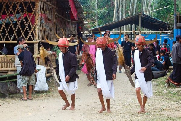 Explorez Sulawesi avec Bali Profond: circuits sur mesure et guides francophones