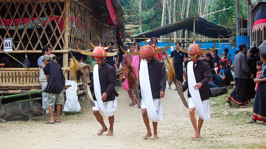Explorez Sulawesi avec Bali Profond: circuits sur mesure et guides francophones