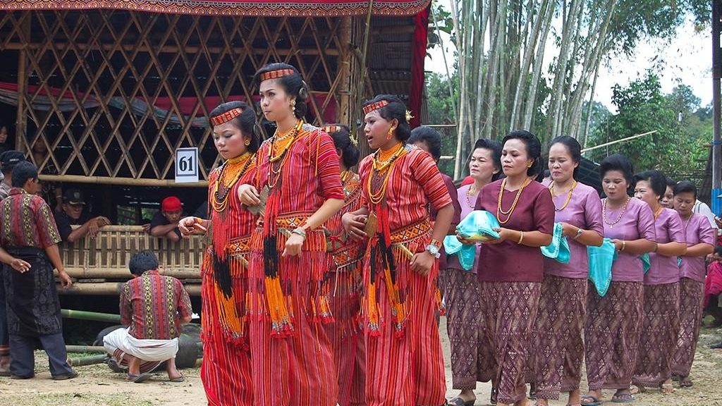 Explorez Sulawesi avec Bali Profond: circuits sur mesure et guides francophones