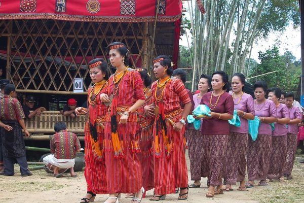 Explorez Sulawesi avec Bali Profond: circuits sur mesure et guides francophones