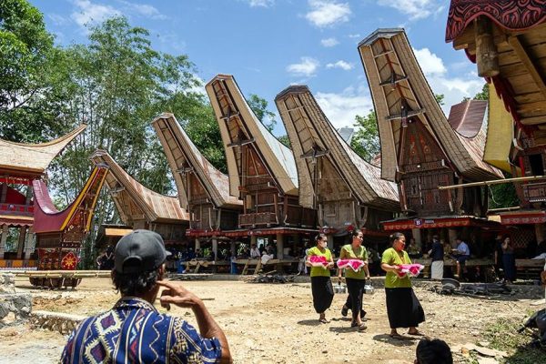 Explorez Sulawesi avec Bali Profond: circuits sur mesure et guides francophones