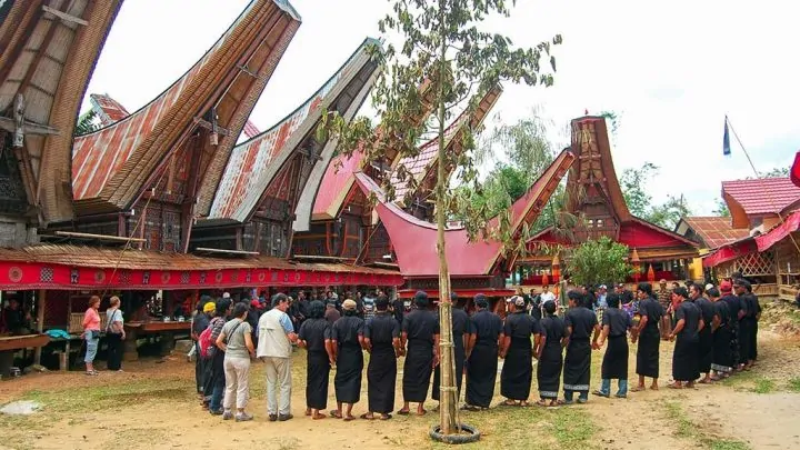 Sulawesi (5)