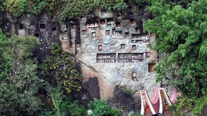 Sulawesi (6)