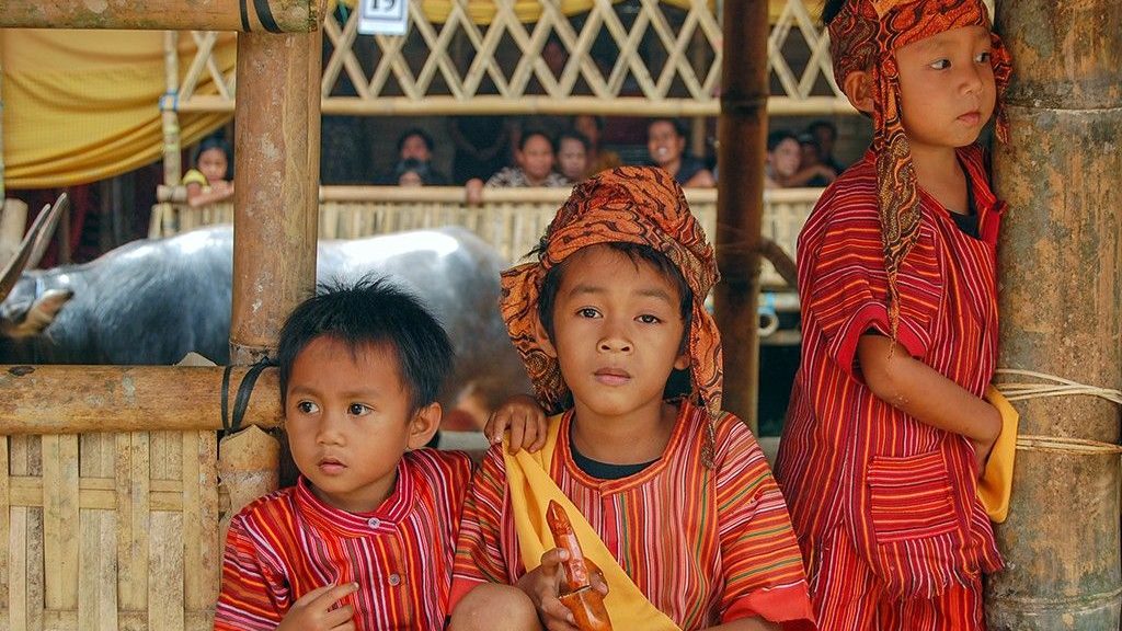 Explorez Sulawesi avec Bali Profond: circuits sur mesure et guides francophones