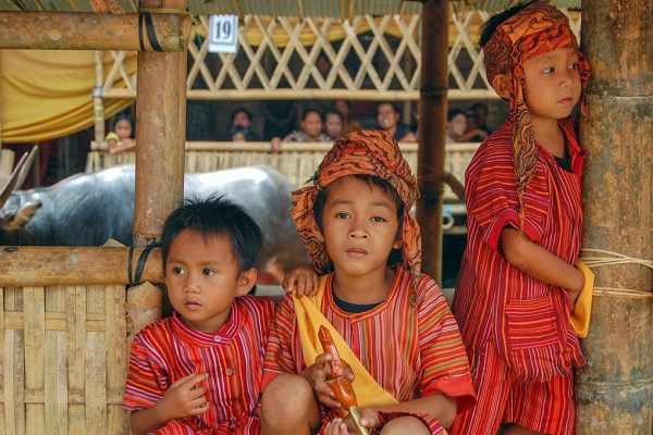 Explorez Sulawesi avec Bali Profond: circuits sur mesure et guides francophones