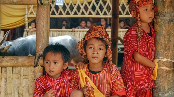 Explorez Sulawesi avec Bali Profond: circuits sur mesure et guides francophones