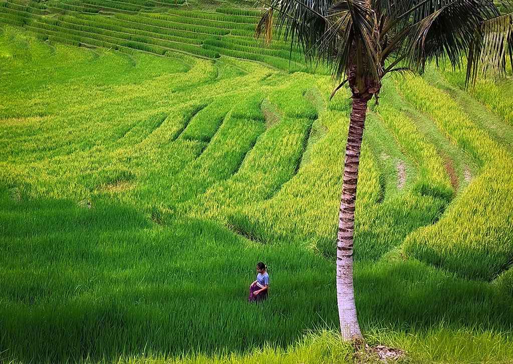 Guide Francophone à Bali