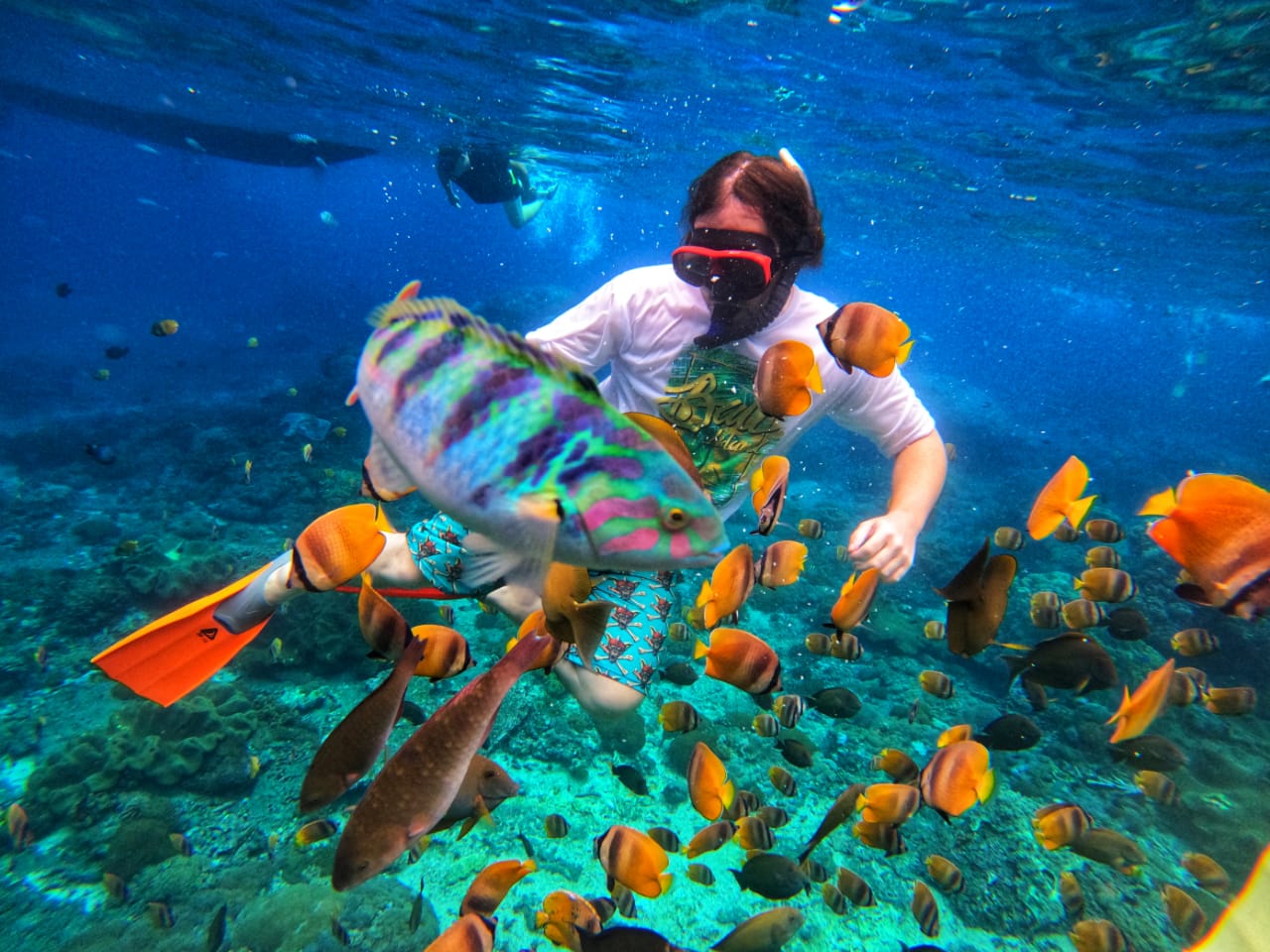 Plongée en apnée à Nusa Penida : explorez des fonds marins exceptionnels !