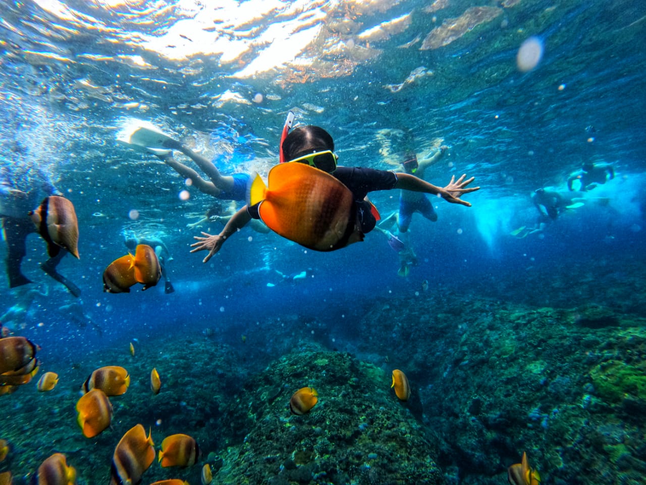 Plongée en apnée à Nusa Penida : explorez des fonds marins exceptionnels !
