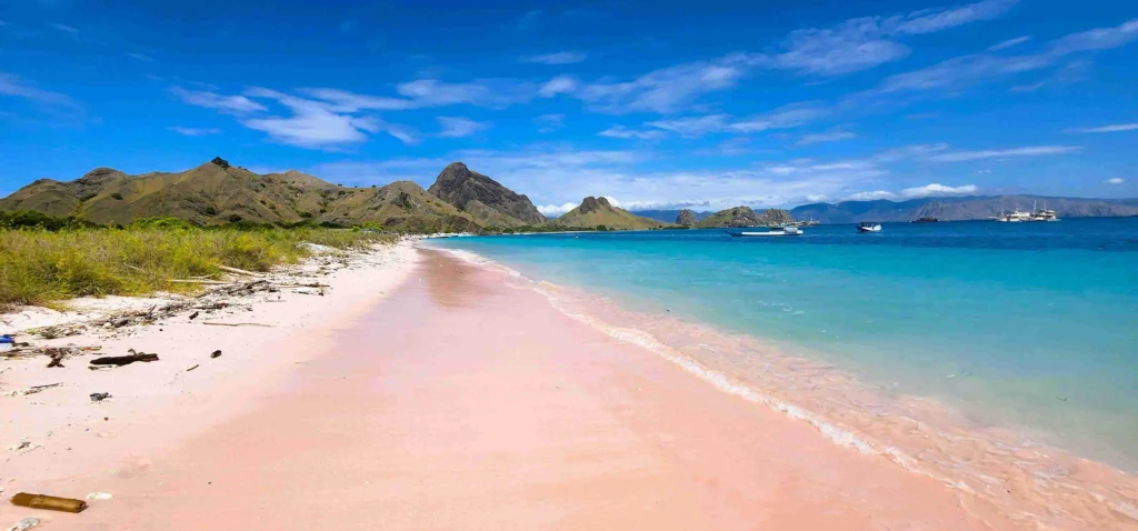 pink beach