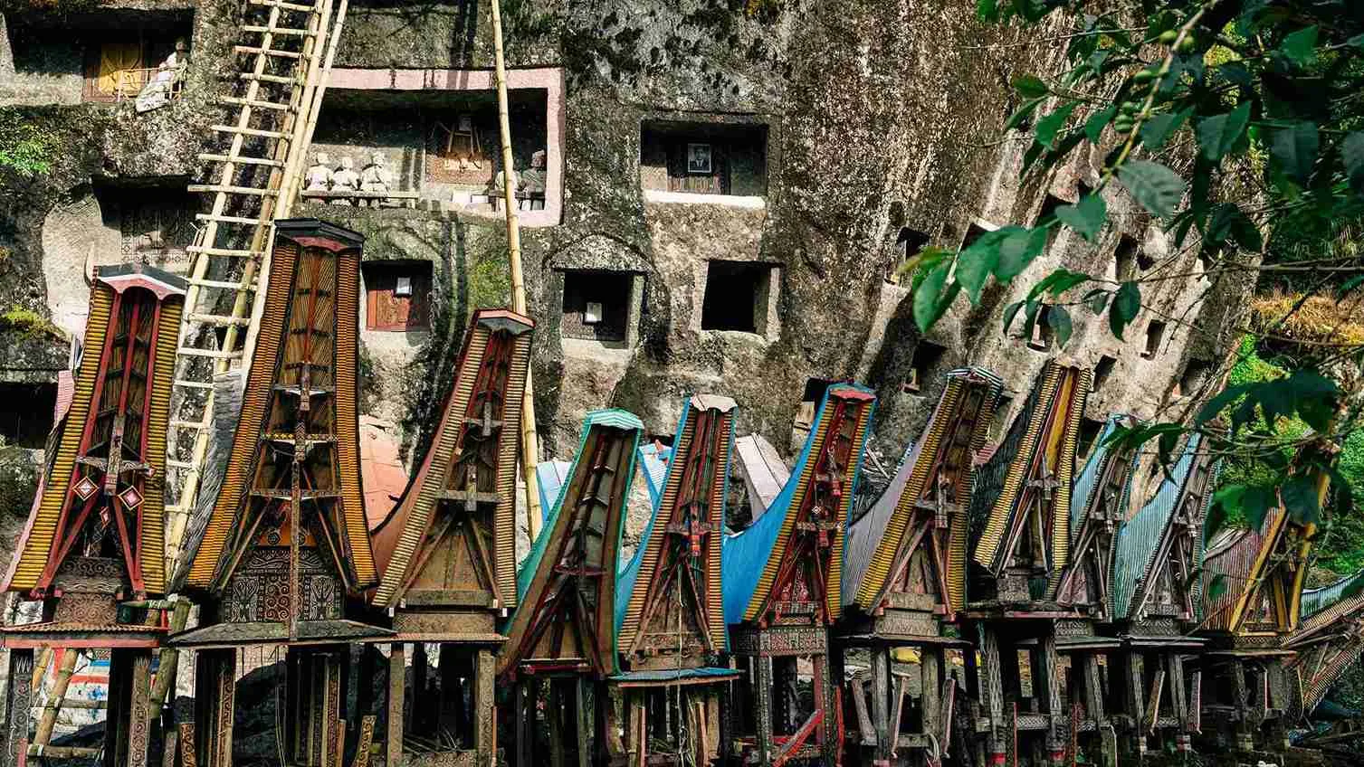 toraja utara