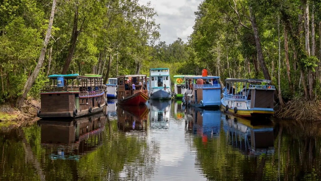 Parque nacional de Tanjung Puting