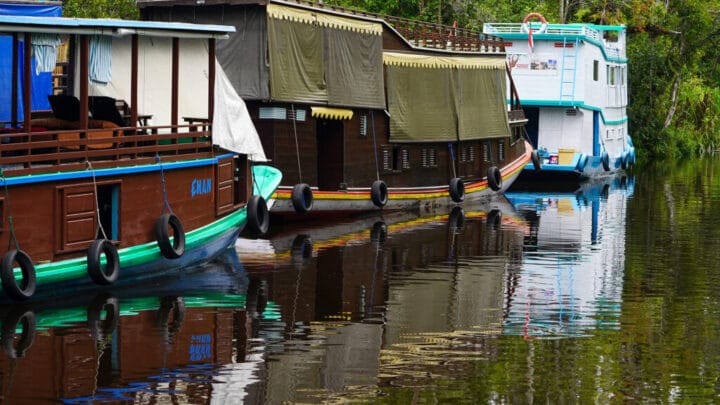 Kalimantan Central – Circuit Nature (5J/4N) - BaliProfond