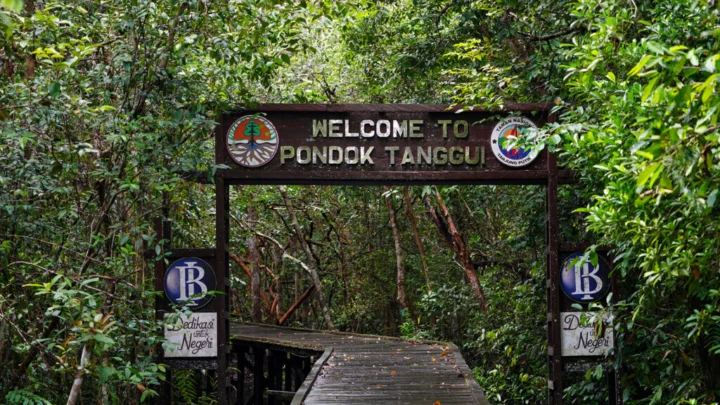 Kalimantan Central – Circuit Nature (5J/4N) - BaliProfond