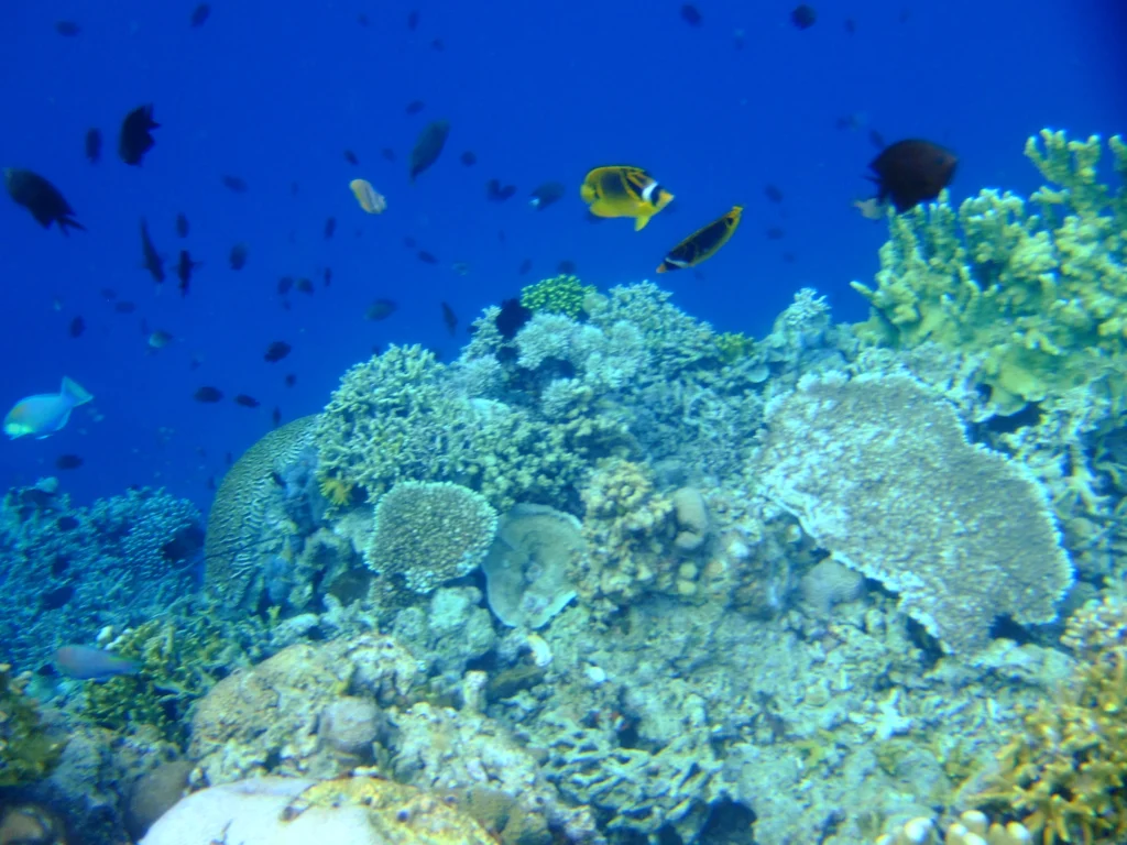 Bunaken Marine Park